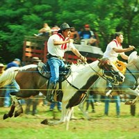 Портфолио Rancho Cartagena